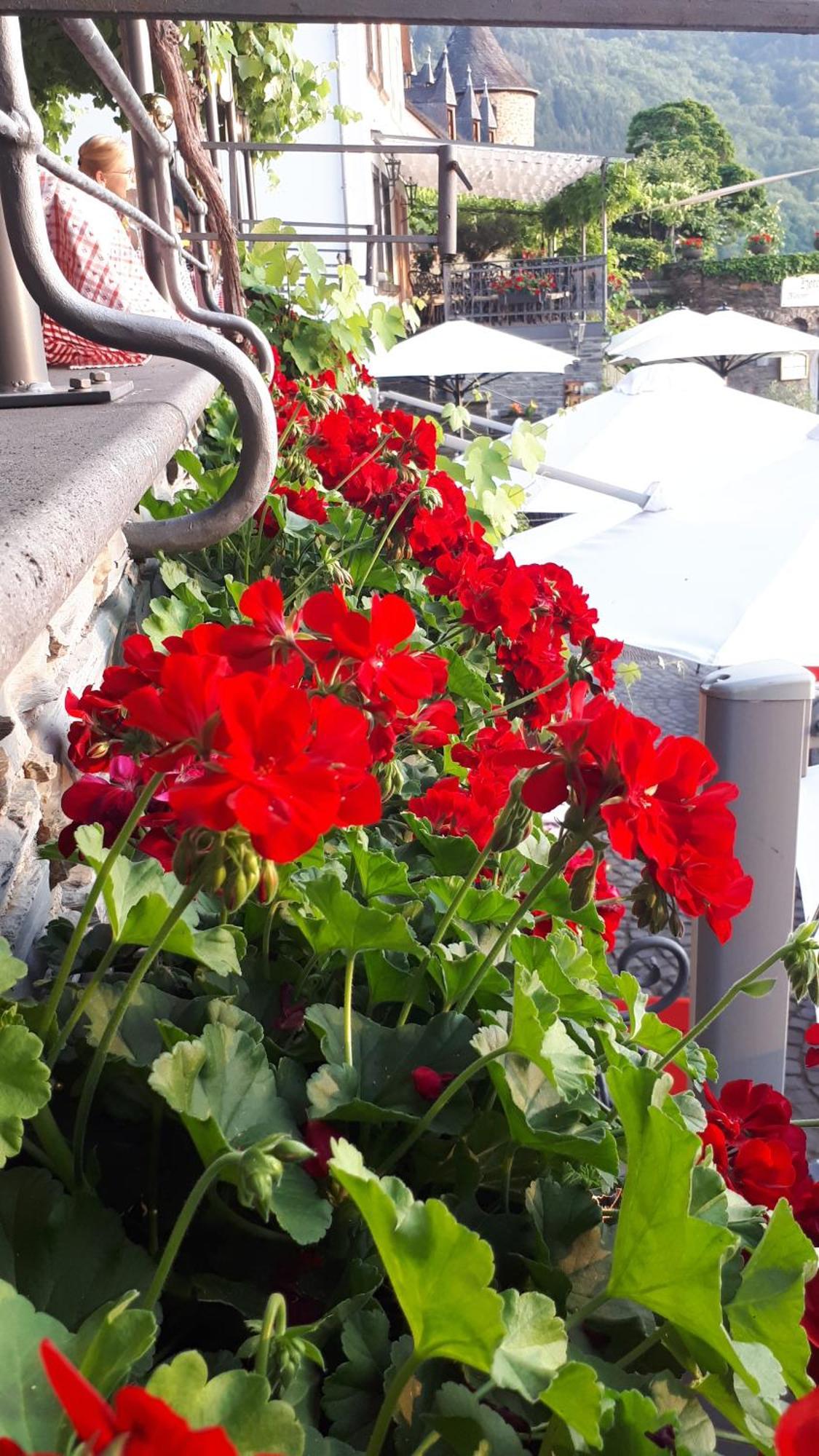 Hotel Restaurant Alte Stadtmauer 바일슈타인 외부 사진